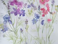 Larkspur and Lavender Flowers growing together in blues and mauves