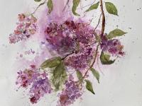 The Scent of Lilac Lilac blossoms against a white background.