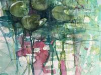 Lily Pads in the Old mill Pond Green blue lily pads with a pink reflection