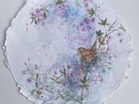 Little Wren