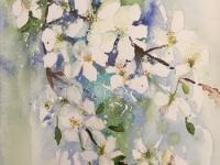 May Blossom White blossom against blue background with ink stems