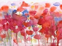 Meadow Masses of red poppies in a meadow