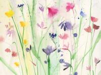 Meadow Meadow