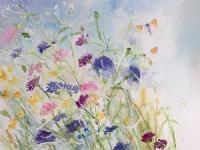 Orange Tips Two butterflies exploring the cornflowers