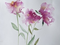 Soft Petals