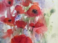Poppies and lavender Vibrant poppies against a blue/mauve background with bee