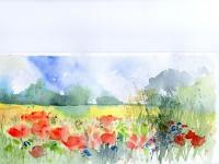 Poppy Meadow Summer sky over bright poppy meadow