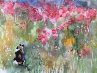 Poppy in the Meadow A filed of poppies with Poppy the calico cat sitting in the corner
