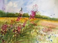 Rosebay Willowherb 2 Background tree line and field with magenta flowers in foreground