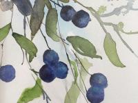 Sloes in Winter Light Sloe berries diagonally hanging against a pale blue background.