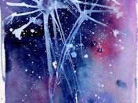 Snowy Hogweed White frosted hog weed stems against a blue/purple bacground