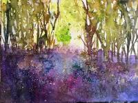 Springtime Bluebell woods