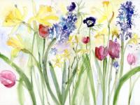 Spring is in the Air Daffodils, tulips and hyacinths - a mass of Spring flowers