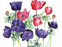 Spring_Jewels Spring_Jewels