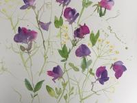 Purple pink sweetpeas with a background of yellow/green fennel