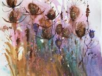 Teasels Teasels and seed heads