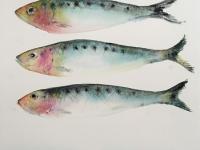 Three Little Fishes Three sardines in irridescent colours