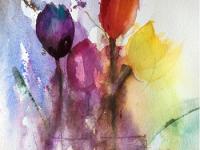Tulips Purple, red and yellow tulips againsta blue background