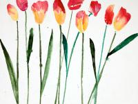 Tulip Collage Tulip Collage