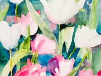 Tulips Tulips