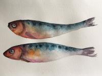 Two Little Fishes Two sardines in orange and blue against a white background