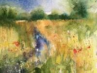 Walk from Little Wilbraham towards Quy Distant trees river and meadow flowers