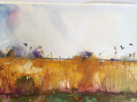 Reeds at Wicken Fen Yellow ochre reedbeds with birds and light blue sky