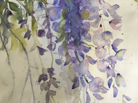 Cascading Blooms Purple wisteria blooms in a mass of trailing petals