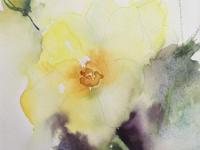 Yellow Rose Rose in full bloom with bud above on a mauve green background