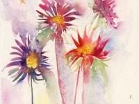 Dancing Dahlias Dancing Dahlias