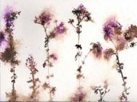 September Seedheads
