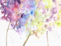 Hydrangeas Hydrangeas