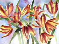 Parrot Tulips Parrot Tulips