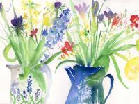 Spring_Jugs Spring_Jugs