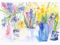 Summer House Flowers Summer House Flowers