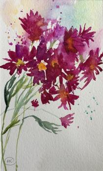 Dark red chrysanthemums against a pale blue/green background