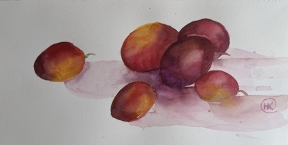 Plums on a white cloth in rectangular format.