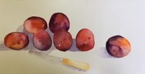 Plums with a silver paring knife on the table
