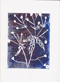 Silhouetted white seed heads against a blue black background
