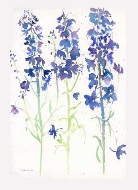 Blue Delphiniums Card