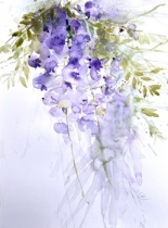 Bright mauve wisteria 