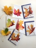Autumn Collection