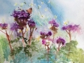 Meadow Butterfly