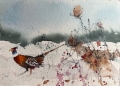 Pheasant