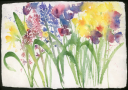 Spring Bunch 